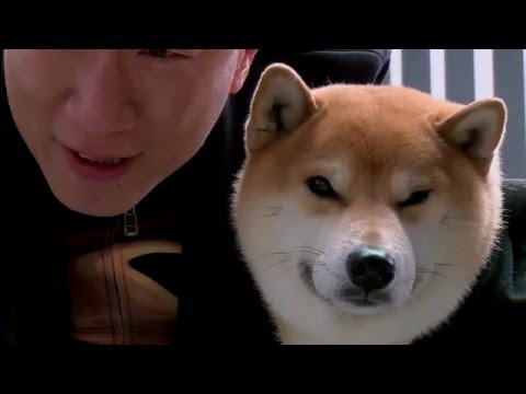 GO FIGHTING! SEASON 2 PREVIEW-part1《极限挑战2》