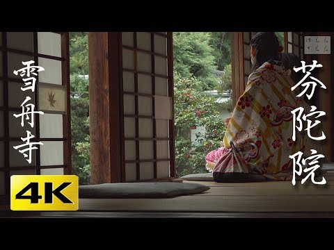 チリの登山者のための居心地の良い小さな避難所のシェルターの下にある特注の出窓とパノラマの景色!  庭園