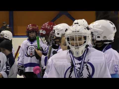 HC Vlci Jablonec n. Nisou