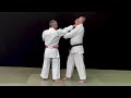Unsu Bunkai 1