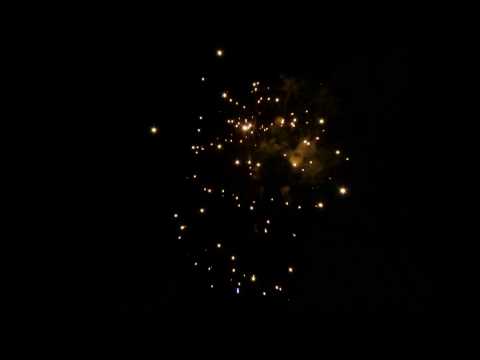 SCB7010 - 50s 25mm Lotus Cake