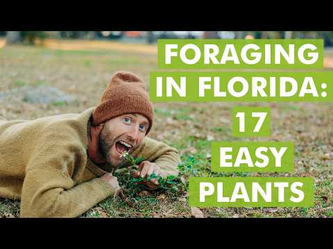 Foraging in Florida: Easy Edible Plants for Beginner Foragers video thumbnail