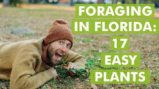 Foraging In Florida: Easy Edible Plants For Beginner Foragers