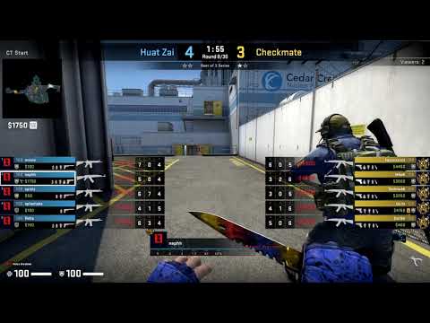 CSGO POV HZ.nephh vs. Checkmate on Nuke - 29 kills