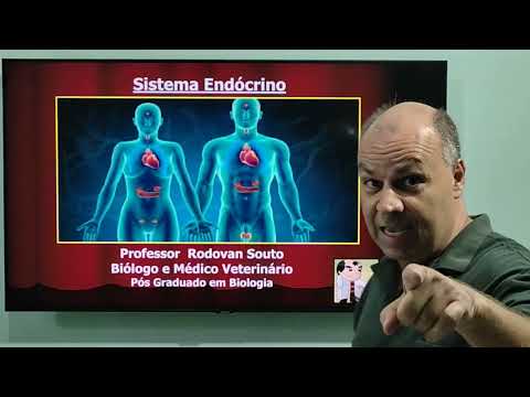 Sistema Endócrino Parte 1