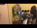 This Is A Goodmans 16 Inch Oscillating Chrome Tripod Pedestal Fan