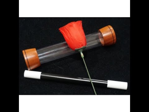 Ring A Ring A Rosie (Pocket Edition) by Colin Rose & Patrick Page / SEO MAGIC