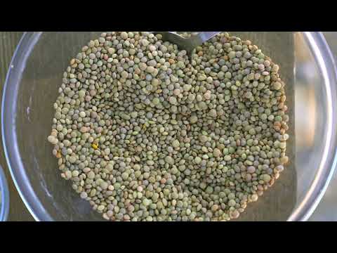 Φακή Εγκλούβης ΠΟΠ