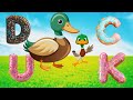 Duck Spelling Animation D U C K Text Animation Video Foryou Duck