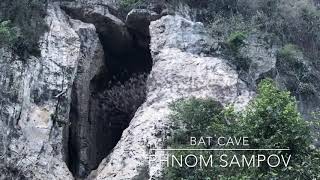 preview picture of video 'Bat Cave - Phnom Sampov'