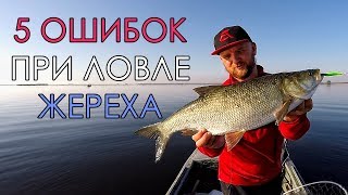Секреты при ловле жереха