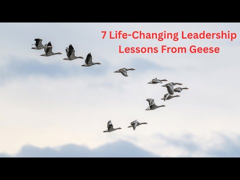 7 Life-Changing Leadership Lessons From Geese | Best Motivational Story About Teamwork & Purpose