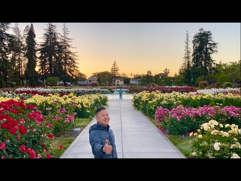 image-Is the Rose Garden Open in San Jose?