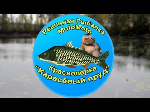 Как поймать Краснопёрку на Карасёвом пруду [АРХИВ] | Реальная Рыбалка.