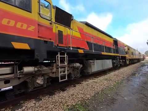 BRM002, G514, G513 & BRM001 walk at Eskbank NSW.  Mon 29th June 2020