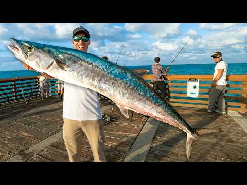 Fangen Sie den größten Pierfisch und gewinnen Sie 1.000 $