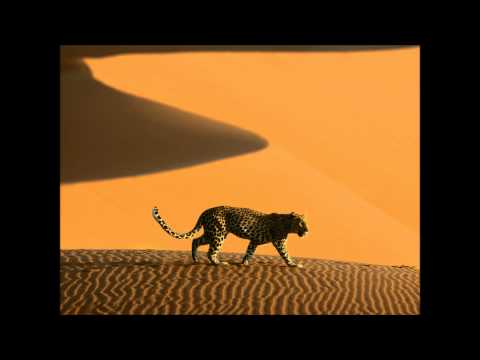 Mr Raoul K - Africa (Kuniyuki Main Remix) HD