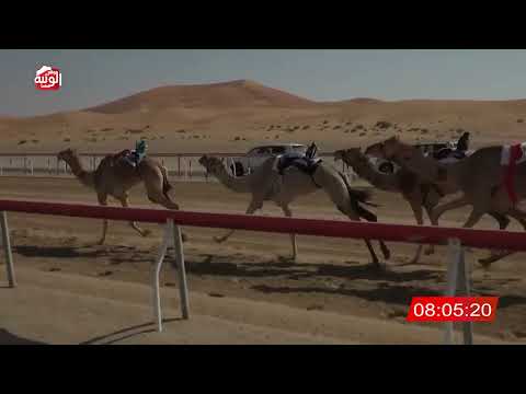 ش 5 (بيان) لـ مبارك محمد مبارك الخييلي 13:05:37 , شارة الديوان 2026/2/22 حول زمول الوقن