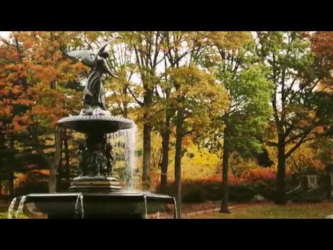 Autumn Leaves - Richard Winfrey (Eva Cassidy Version)