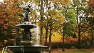Autumn Leaves - Richard Winfrey (Eva Cassidy Version)
