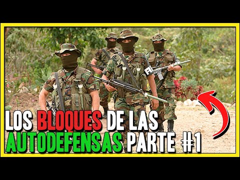 Los BLOQUES de las Autodefensas Unidas de Colombia - Primera Parte