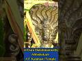 Sri Guru Dakshinamurthi Abhishekam At Sri Kalahasti Temple