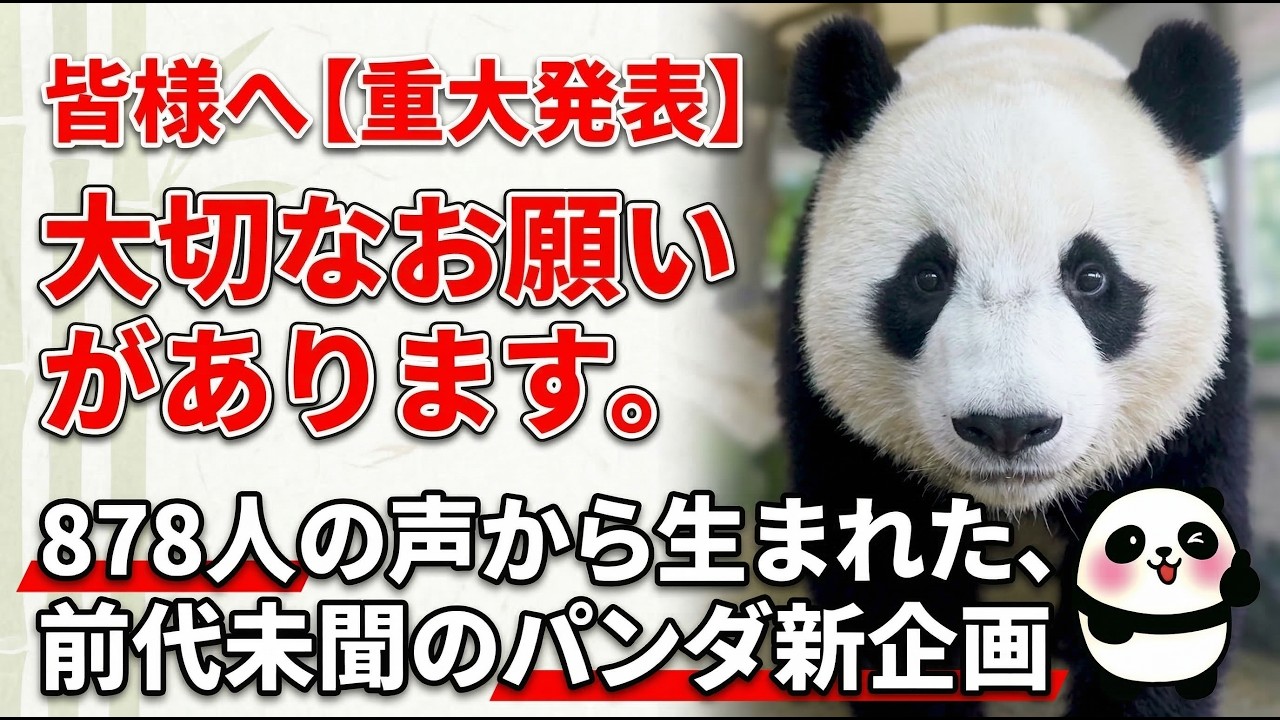 【2026最新】楓浜が中国で「お姫様」に！ ＆878名で決めた重大プロジェクト始動🐼🌸