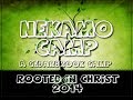 Nekamo Camp 2014 