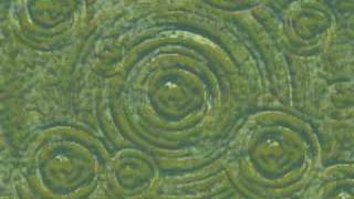 The Power of One - Sonata Arctica w/ LYRICS