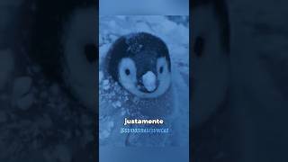 Como os pinguins sobrevivem no frio extremo? 🥶🐧 #curiosidades #fatoscuriosos #shorts
