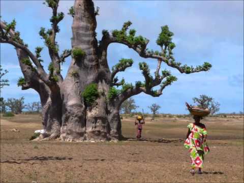 Medina Sabakh Ngoyane Sénégal Layéé