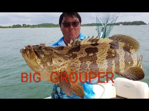 Slow Jigging and Live-baiting for Grouper! Ep 66 ONZZ Fishing Singapore