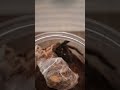 #phormingochilus #rufus #short #shorts #shortsfeed  #shortsvideo #tarantula #arachnid #spider