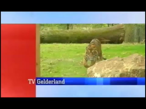 4Daagse Journaal 18 juli 2008 - 4Daagse Journaal kort