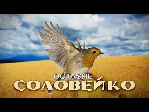 BOTASHE - Соловейко