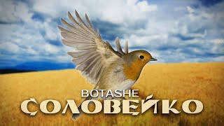 Kadr z teledysku Соловейко (Soloveyko) tekst piosenki Botashe