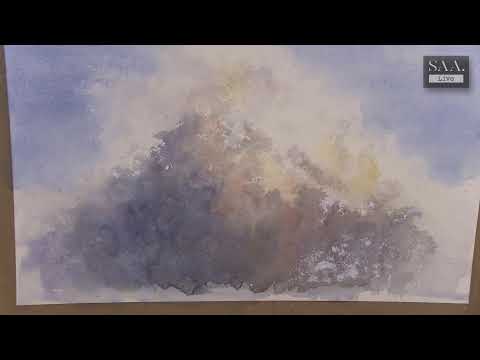 SAA Live - IWM2022 - Felicity Flutter