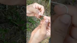 Simpul tali laso untuk jerat ayam hutan dan burung kecil ditanah #shorts