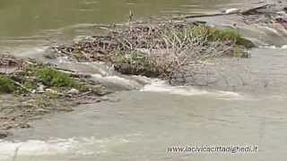 preview picture of video 'Ghedi - vasca di laminazione torrente Garza'