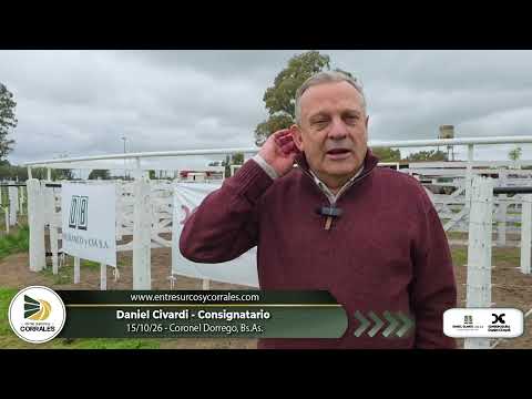 15-10-26 - Daniel Civardi - Consignatario - Coronel Dorrego, Bs.As.