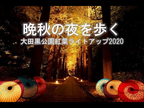 晩秋の夜を歩く～大田黒公園紅葉ライトアップ2020～