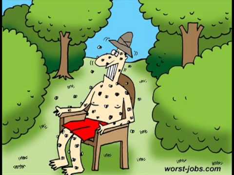 Pican pican los mosquitos