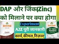 DAP Or जिंक सल्फेट को मिलाने पर क्या होगा Da