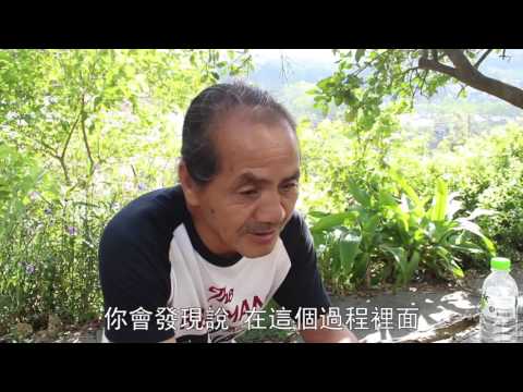 農夫馬丁 化荒蕪為綠蔭