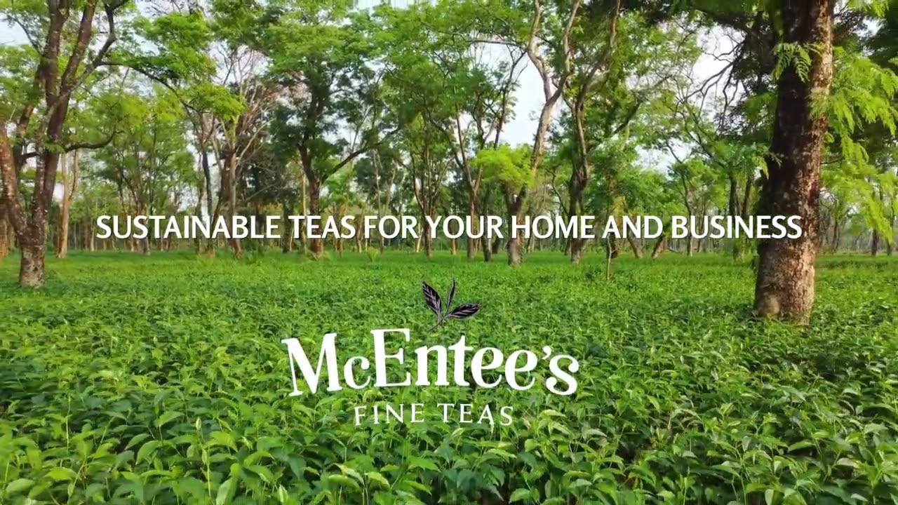 Premium Irish tea for everyday enjoyment – loose leaf and biodegradable teabags.