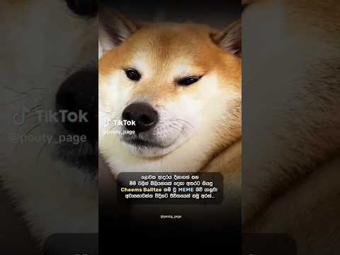 🥺💔 #love #trending #tiktok #viral #fypシ