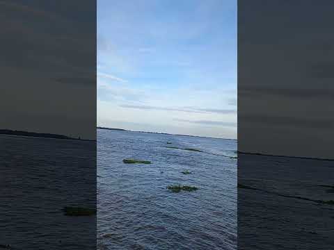 18 de março de 2026 Parintins AM