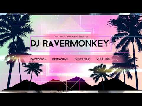 SOULFURIC HOUSE SOULFUL DEEP MIX HOUSE JUNKIES