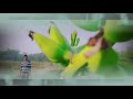 Rongila Baroi 3 রঙ্গিলা বড়াই 3