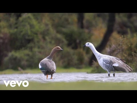 EnSecreto - Necesario